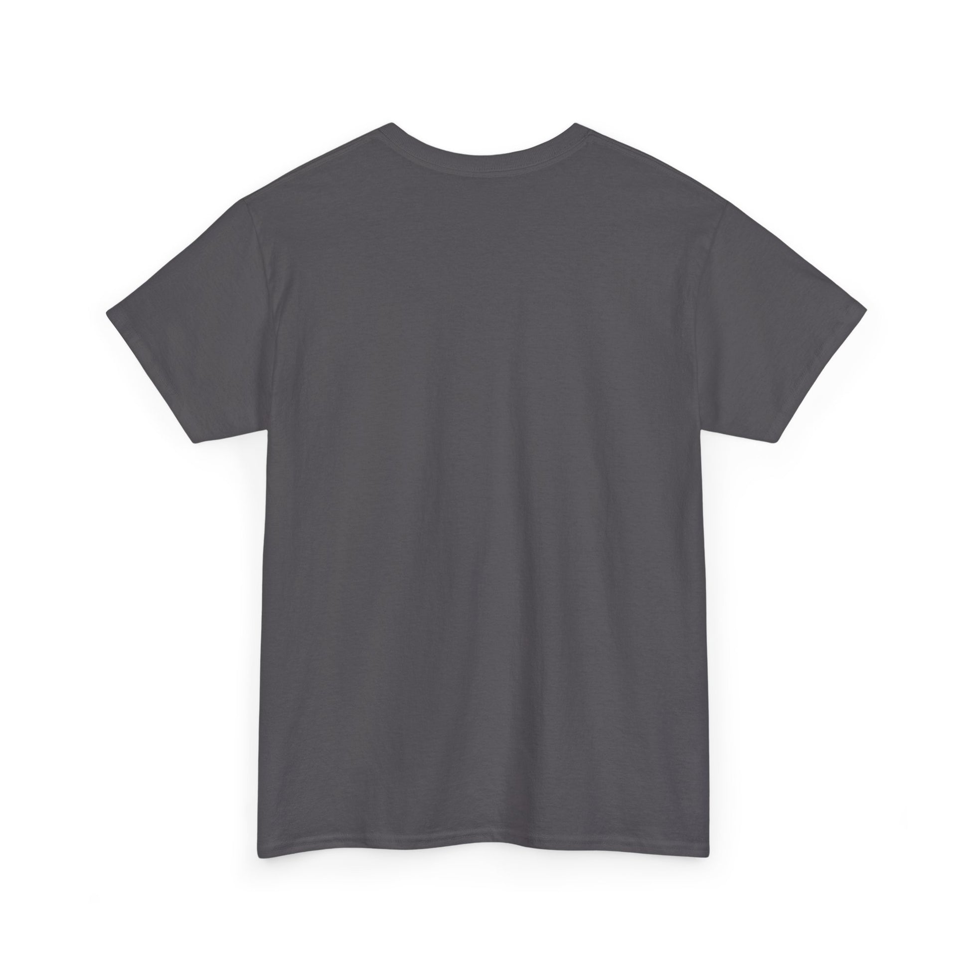 Pink Flag Fight T-Shirt