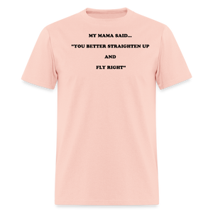 YOU BETTER STRAIGHTEN UP AND FLY RIGHT - blush pink 